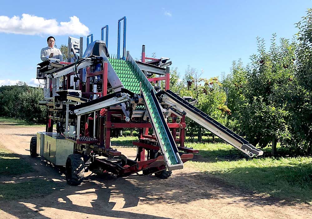 Renfu Lu operates the latest version of his experimental harvester and in-field sorter at Schwallier’s Country Basket in Sparta, Michigan, in October. The machine can sort fresh apples from culls in the field, saving growers postharvest costs. (Courtesy U.S. Department of Agriculture)