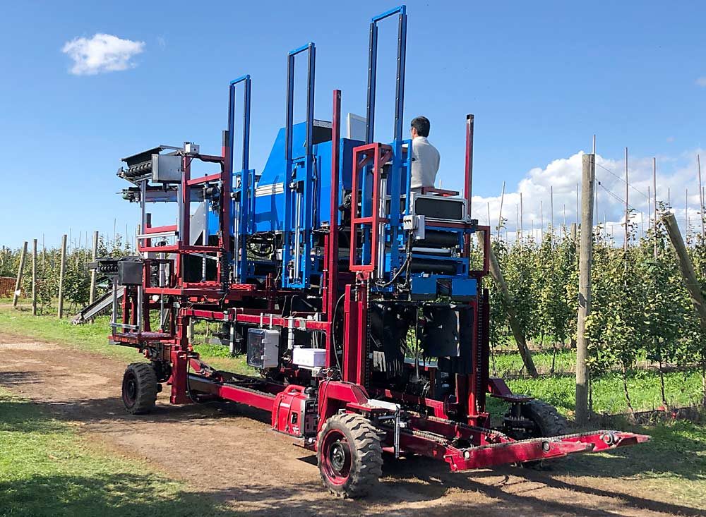 The experimental machine includes a computer-vision-based sorting system and automated bin-filling and handling systems. Pickers stand on platforms or on the ground and feed apples onto conveyors. The apples are sorted into fresh-market and cull categories, then dropped into bins that run through the bottom of the machine. (Courtesy U.S. Department of Agriculture)