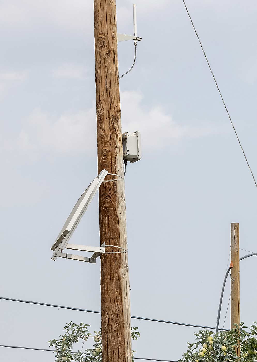 The promise of high-tech orchard tools requires connectivity in the orchard and in some remote locations, and that’s a complicated proposition. At the Smart Orchard project, Scott Waller of Thingy IoT installed a LoRaWAN telemetry network to transfer all the data from “lightweight devices” such as soil and climate sensors. (TJ Mullinax/Good Fruit Grower)