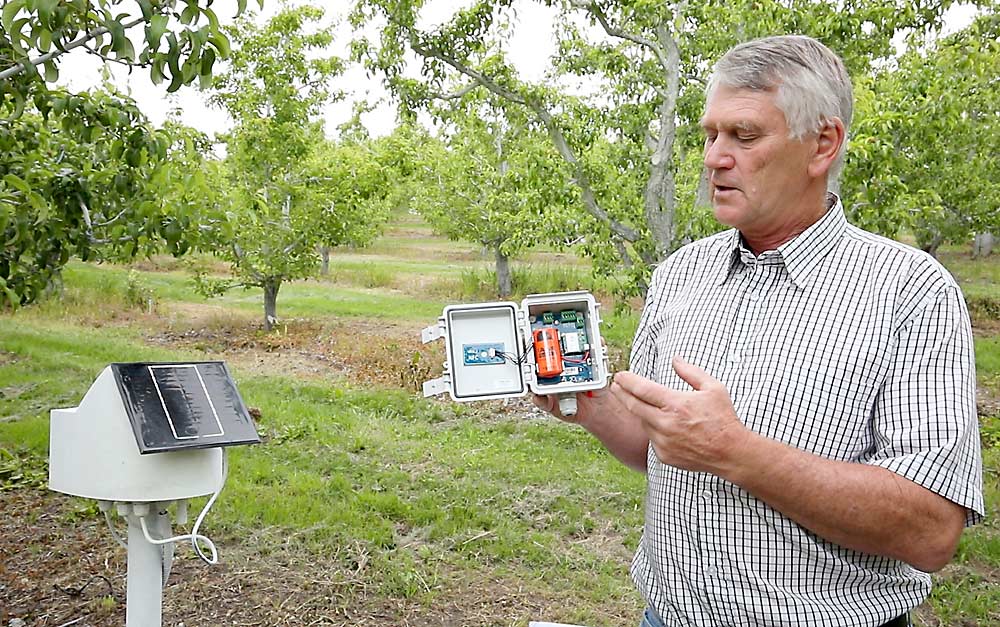 Irrigation consultant Jac Le Roux explains how a data logger relays data from soil moisture sensors, irrigation pressure switches and other weather sensors through the cell network so that growers can track water needs online. The system he holds relies on a battery that can last several years, while a solar-powered system stands at left. (TJ Mullinax/Good Fruit Grower)