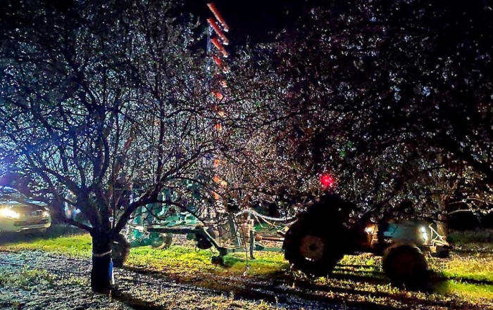A prototype mechanical pollinator creeps through an almond orchard in February this year in Israel. The machine, under development by Edete Precision Agriculture Technologies, uses horizontal “cannons” fastened to a vertical stanchion to blast dry pollen onto waiting blossoms. The goal is to automate the process using lasers and GPS. (Courtesy Edete Precisions Agriculture Technologies)