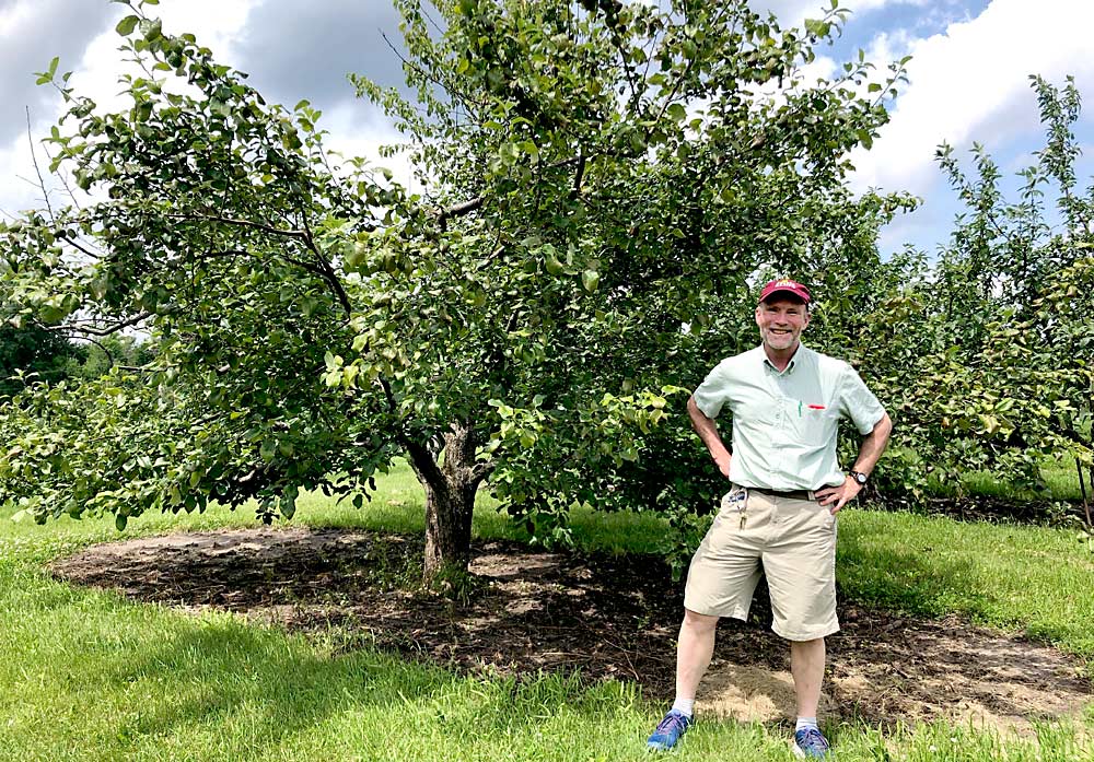 James Luby, director of the University of Minnesota breeding program, stands next to the oldest Honeycrisp tree, a wildly popular fresh-eating variety developed by the university’s breeding program for its flavor and crispness. The program aims to identify replacements for early-season apples that are experiencing reddening and textural problems in the increasingly warmer summers. (Courtesy University of Minnesota.)