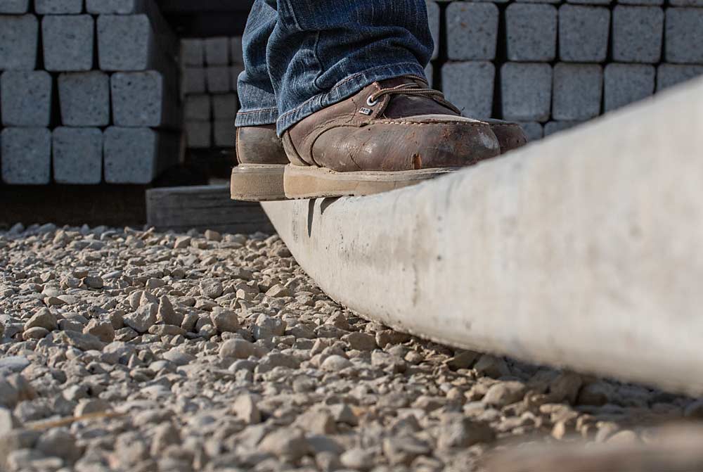 A prestressed concrete post bends but doesn’t crack or chip under the weight of Greg Barner, general manager of Jensen Precast’s Kingsburg, California, facility, where the U.S. concrete business is entering the trellis post market to compete with European manufacturers. (TJ Mullinax/Good Fruit Grower)