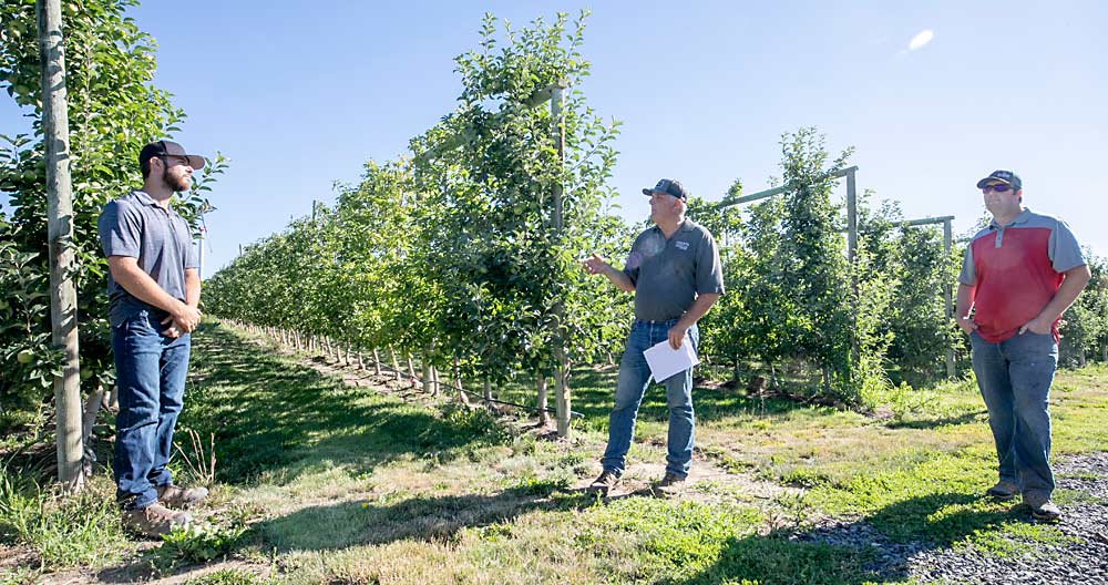 Brady, Kent and Mitchell Karstetter, left to right, talk to the International Fruit Tree Association tour in July, explaining how they manage high-density Honeycrisp and divide responsibilities in their family business. (TJ Mullinax/Good Fruit Grower)