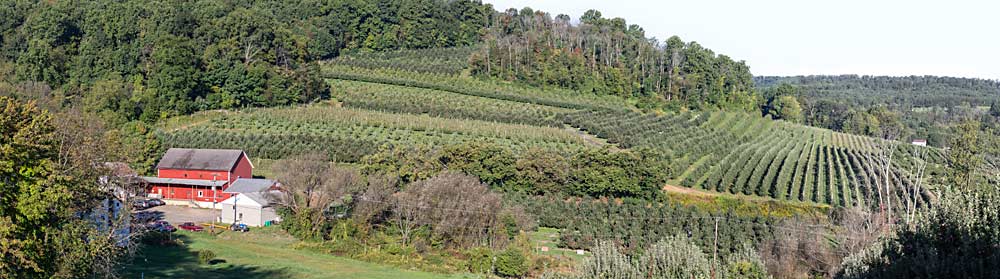 Given his steep hillside blocks in Eastern Pennsylvania, Keim put self-leveling near the top of his platform wish list. (TJ Mullinax/Good Fruit Grower)