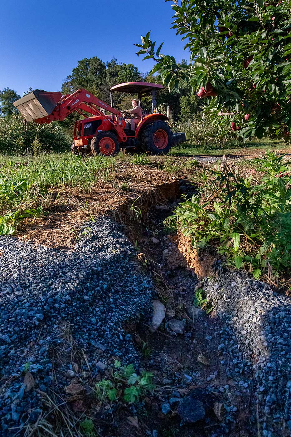 A washed-out driveway at Keim Orchards in Eastern Pennsylvania in September. Grower Richard Keim, driving the tractor, fills the rain-carved ditches with stone so bins can be placed in the field for harvest. (TJ Mullinax/Good Fruit Grower)