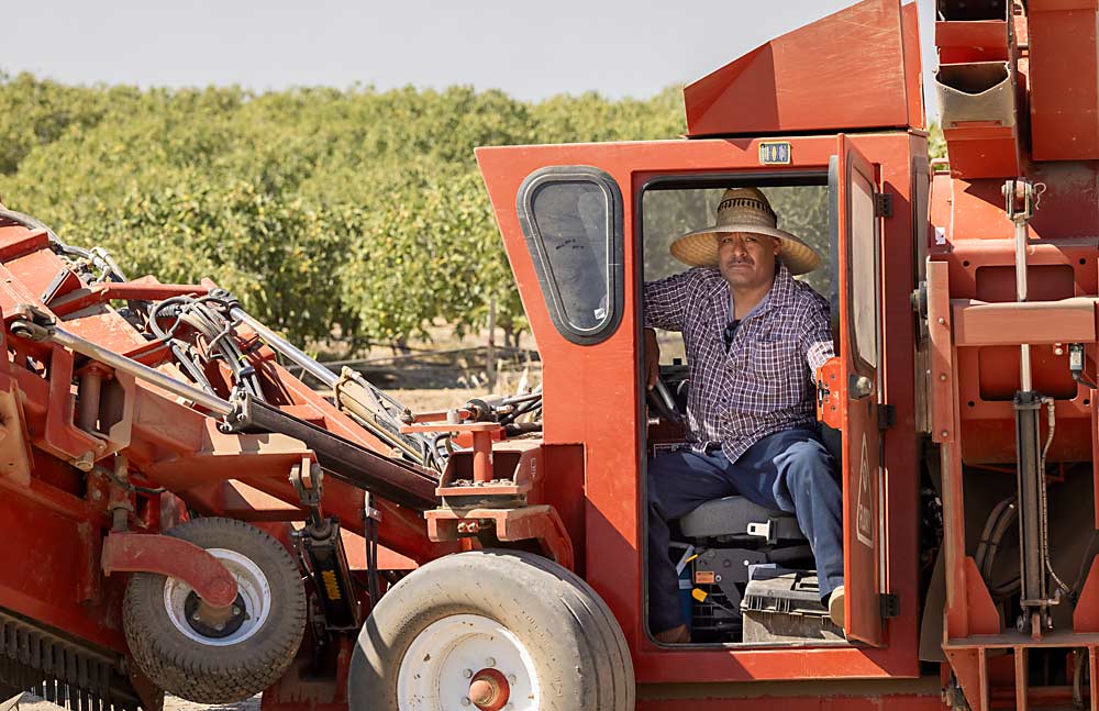 Demetrio Martinez, an operator for Specialty Crop Co. in Madera, California, gets into a fig harvester. He says overtime restrictions have cut back on his family’s Sunday excursions and he now moonlights with yardwork. (TJ Mullinax/Good Fruit Grower)