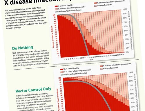 It pays to prevent further X disease infections