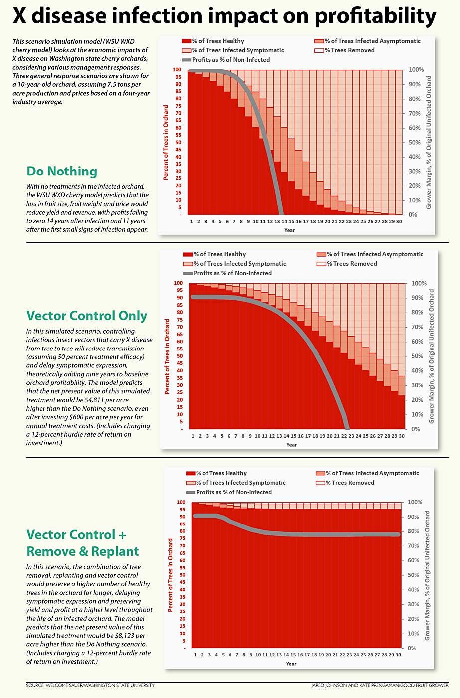 Three scenarios from a Washington State University simulation model (WSU WXD cherry model) that looks at the economic impacts of X disease on Washington state cherry orchards, considering various management responses. (Source: Welcome Sauer/Washington State University; Graphic: Jared Johnson and Kate Prengaman/Good Fruit Grower)