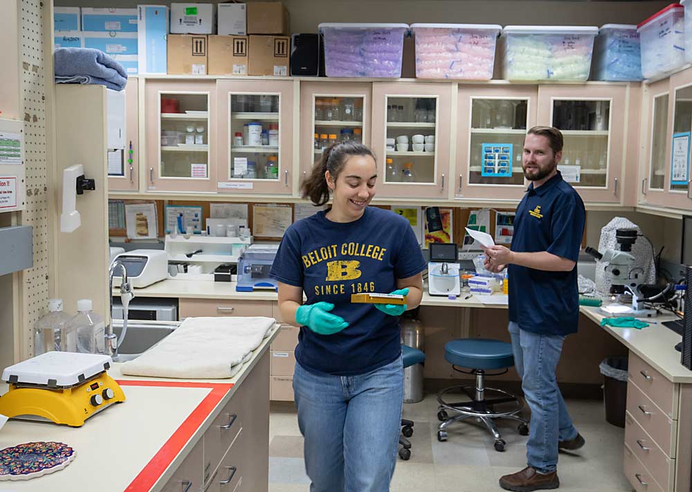 At the USDA Agricultural Research Service lab in Wapato, technician Rachel Cook takes dissected leafhopper samples from Marshall for DNA analysis. (TJ Mullinax/Good Fruit Grower)