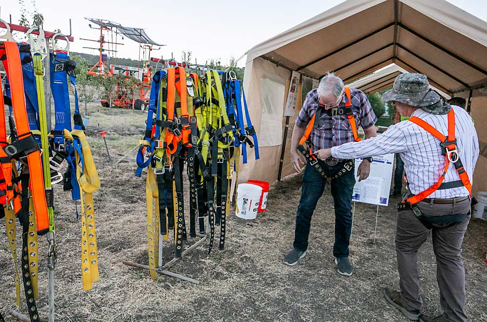 Ed Crews, left, is fitted to be a platform driver, with help from Alan Von Arx, at the volunteer check-in station where hundreds of volunteer pickers from across Southern Oregon receive safety orientation and instructions to ensure a smooth harvest. (TJ Mullinax/Good Fruit Grower)