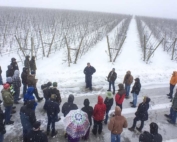 With snow falling heavily, Scott McDougall talks to one of the IFTA groups visiting his Legacy Orchards ranch in the Wenatchee, Washington area on February 20, 2017. McDougall said he’s planning blocks for a future that includes automated harvesting technology. (TJ Mullinax/Good Fruit Grower)