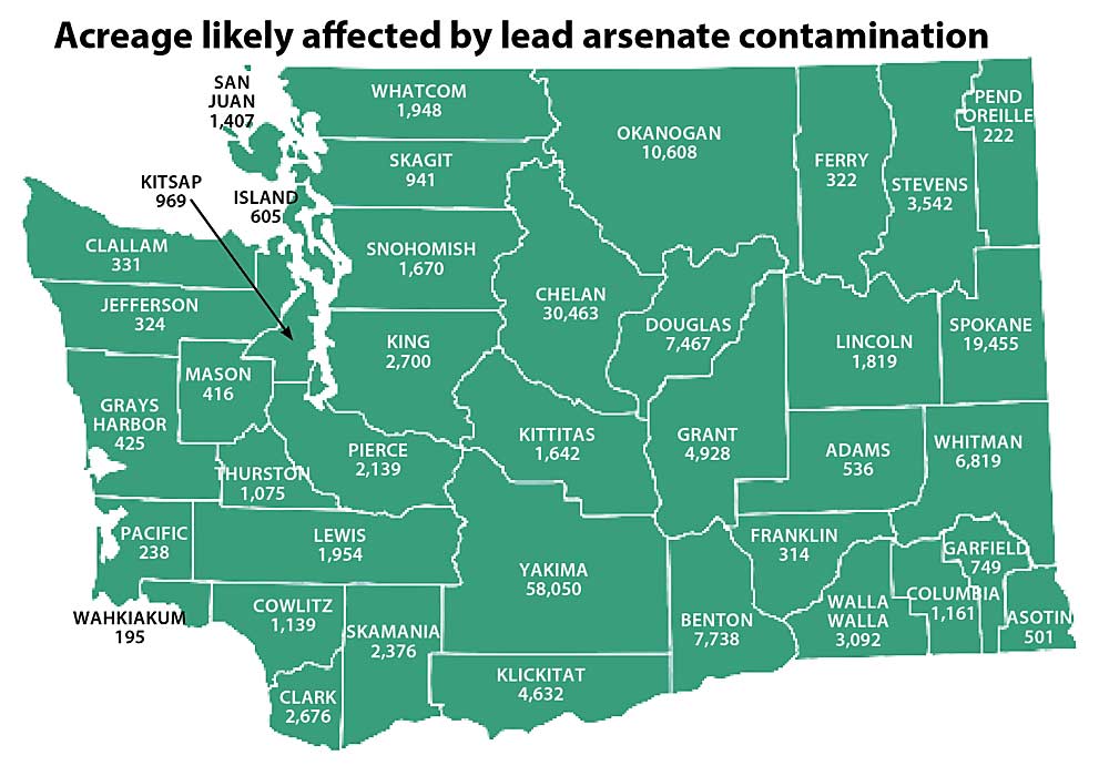 This information, compiled by the Washington State Department of Ecology, lists acreage likely affected by lead arsenate contamination, based on apple and pear orchard acreages from 1905 to 1947, when lead arsenate pesticides were used. (Source: Washington State Department of Ecology, Illustration: Jared Johnson/Good Fruit Grower)