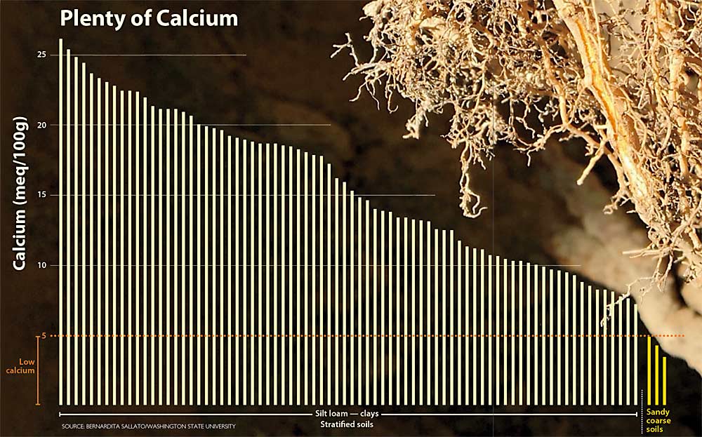 A three-year study of Washington orchards found that soils in the state’s fruit-growing areas, by and large, have ample calcium, a critical nutrient to prevent bitter pit and other fruit disorders. This chart shows that only three of the sampled locations were below recommended levels. (Source and photo: Bernardita Sallato/Washington State University; Chart: Jared Johnson/Good Fruit Grower)