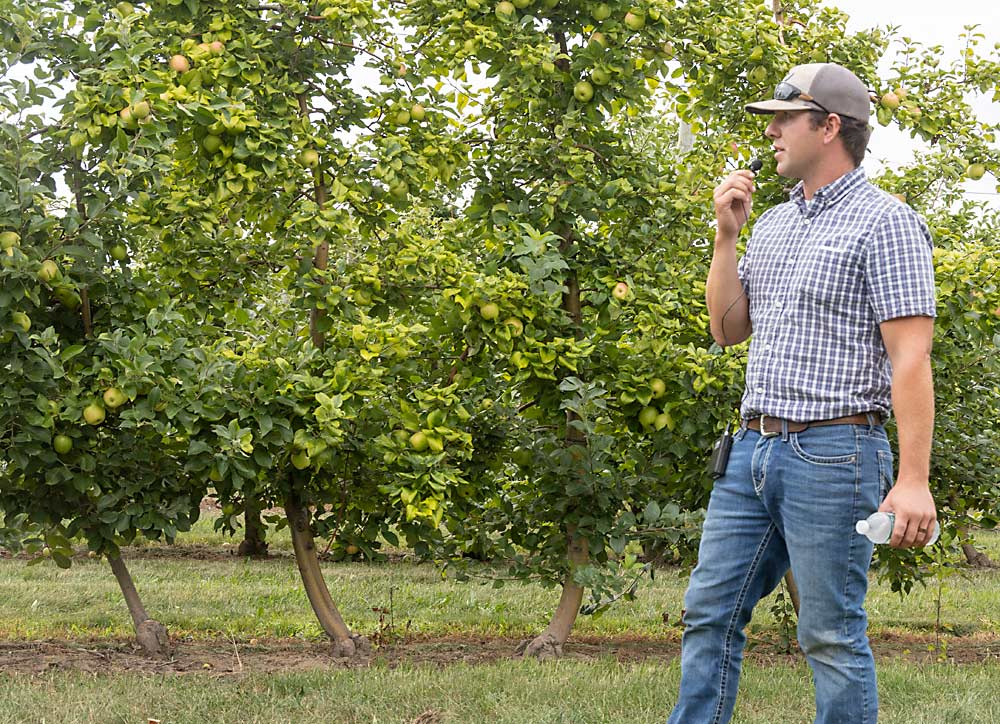 Near Lake Ontario, grower Shane Nesbitt stands in front of a Honeycrisp block that has a history of biannual bearing. He told fruit tour attendees that blossom thinning guided by the pollen tube growth model has helped him balance the block’s crop load. (Matt Milkovich/Good Fruit Grower)
