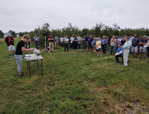 Annual New York fruit tour highlights precision crop load management