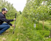 Tye Wittenbach, manager of LTI Ag Research, uses Farm Vision technology to count fruitlets in a Kent City, Michigan, orchard in June. Wittenbach manages the orchard, where he also conducts research trials on behalf of LTI. (Matt Milkovich/Good Fruit Grower)