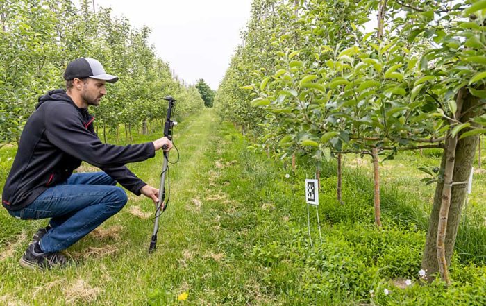 Tye Wittenbach, manager of LTI Ag Research, uses Farm Vision technology to count fruitlets in a Kent City, Michigan, orchard in June. Wittenbach manages the orchard, where he also conducts research trials on behalf of LTI. (Matt Milkovich/Good Fruit Grower)