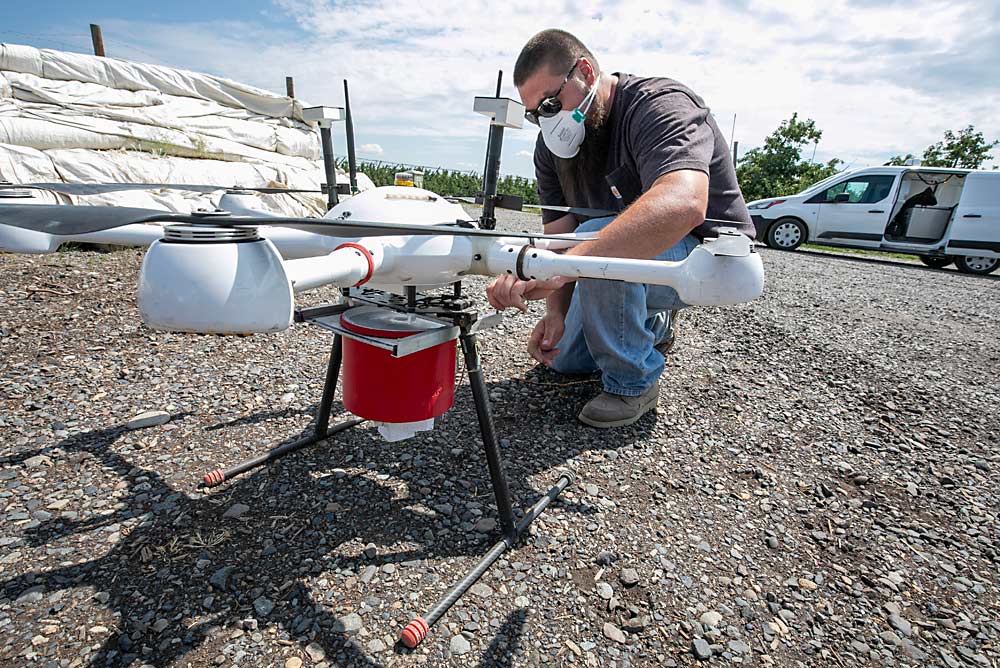 Chris Whelan of M3 Agriculture Technologies loads sterile codling moths into a custom-built unmanned aerial vehicle to release in an organic apple orchard near Wapato, Washington, in June. Whelan says UAV delivery of sterile moths saves time compared with ground-based delivery. (TJ Mullinax/Good Fruit Grower)