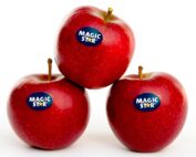 The Magic Star apple enters the U.S. market in spring 2023. (Courtesy Fresh Forward)