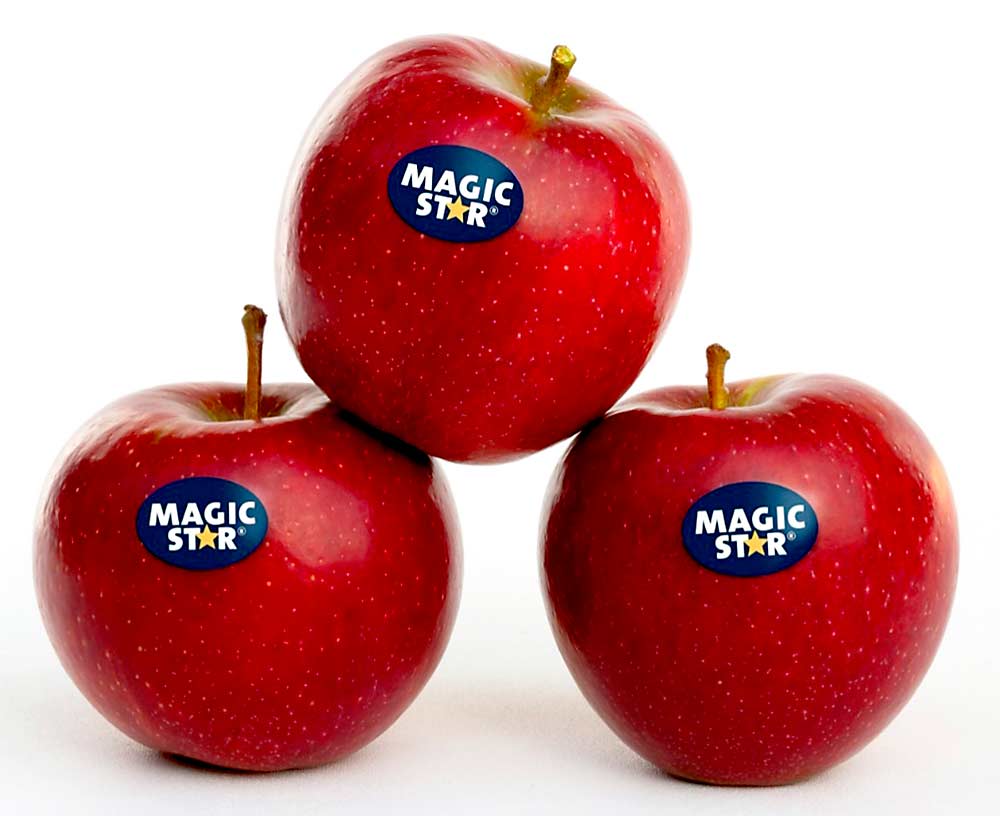 The Magic Star apple enters the U.S. market in spring 2023. (Courtesy Fresh Forward)