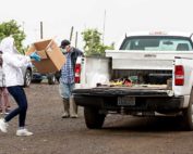 As the tree fruit industry struggled to source masks this spring when demand dwarfed supply, the Washington State Tree Fruit Association helped the state deliver masks to the tree fruit industry’s essential workforce. (TJ Mullinax/Good Fruit Grower)