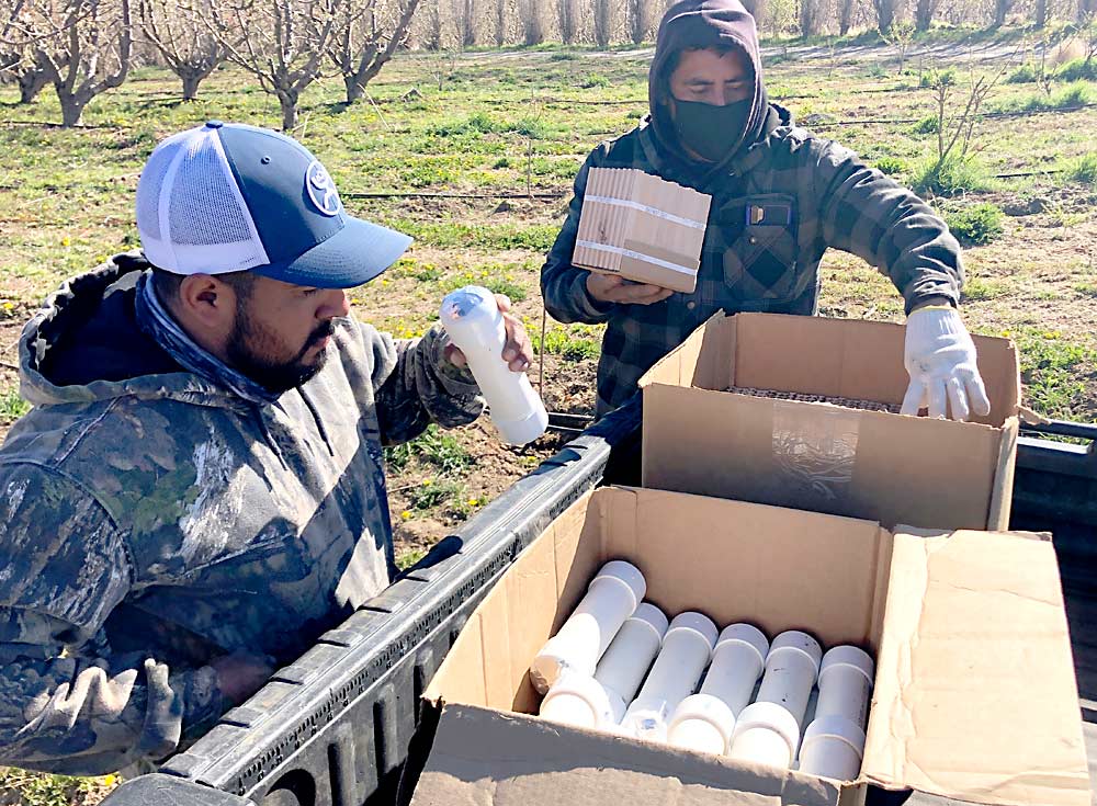 Constantino Garcia, left, and Andres Galindo deliver incubation tubes and nesting boxes for placement in the orchard in April. (Ross Courtney/Good Fruit Grower)