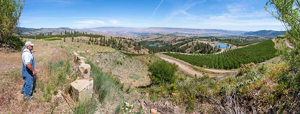 A video tour offers virtual International Society of Horticultural Science conference attendees a taste of Washington’s orchard landscape. In this case: the view from Wenatchee grower Kyle Mathison’s high-elevation cherry orchard at 3,400 feet, to his water source, the Columbia River, almost 3,000 feet below, seen in the distance. A series of ponds, spaced every couple of hundred vertical feet, hold water for Mathison’s upper orchards. (TJ Mullinax/Good Fruit Grower)