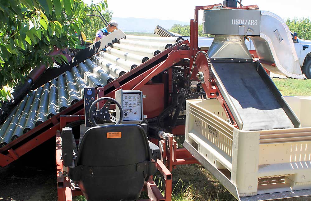 In this 2010 photo, Washington State University researchers test out a prototype of a mechanical cherry harvester at the university’s Roza research orchard near Prosser. Industry leaders are calling for work to resume on a mechanical cherry harvester, which fizzled after early enthusiasm. (Courtesy Matt Whiting/Washington State University)