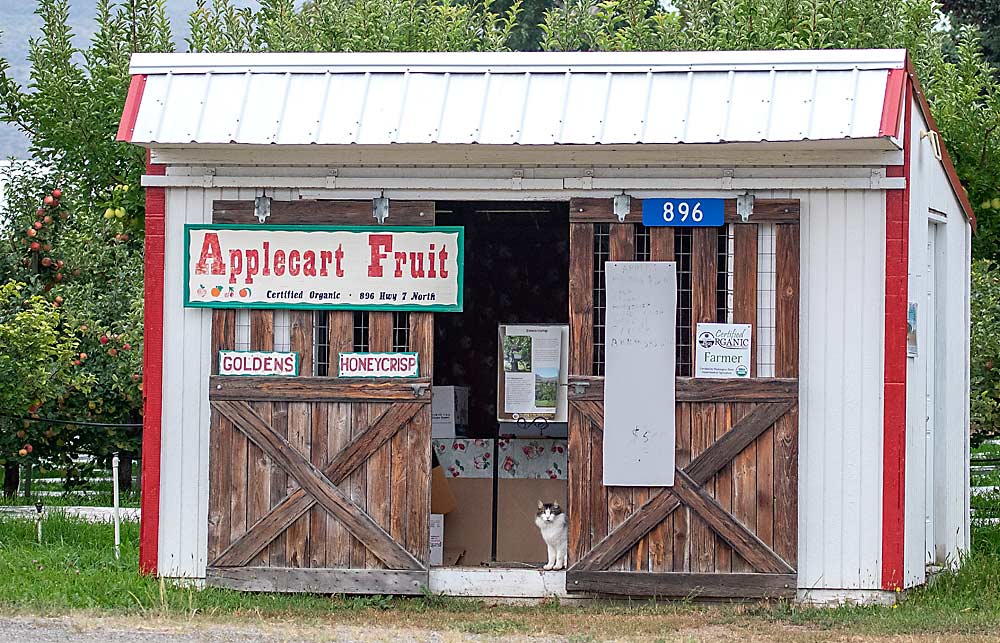 Michael Simon of Applecart Fruit and other small growers in North Central Washington founded the Okanogan Producers Marketing Association nearly 20 years ago, and the co-op continues to create market opportunities between wholesale warehouses and his honor-code-based roadside fruit stand. (TJ Mullinax/Good Fruit Grower)