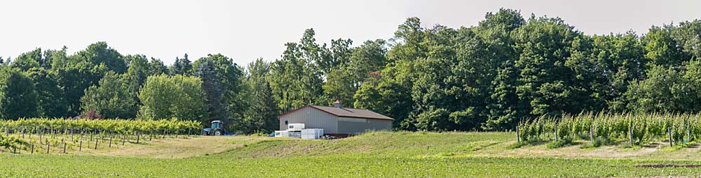 White Pine Winery’s winemaking facility in Lawton, flanked by vineyard blocks. Miller grows Riesling, Cabernet Franc, Chambourcin, Marquette and Traminette grapes. A field of soybeans is in the foreground, on land he rented to a local farmer. (TJ Mullinax/Good Fruit Grower photo illustration)