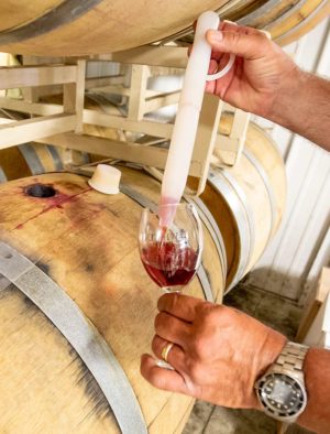 Miller fills his wine glass with Pinot Noir at his winemaking facility in Lawton. He’s invested a lot of money in quality winemaking equipment, including French oak barrels. (TJ Mullinax/Good Fruit Grower)