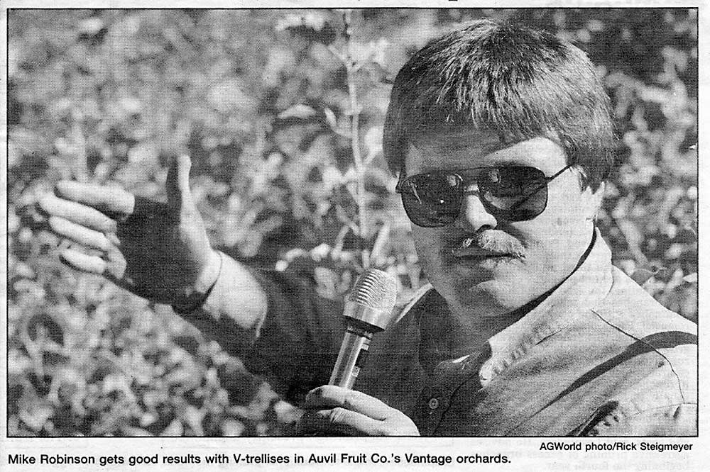 Robinson leads a 1980s tour in a V-trellis block at an Auvil Fruit Co. orchard near Vantage. (Courtesy Wenatchee World)