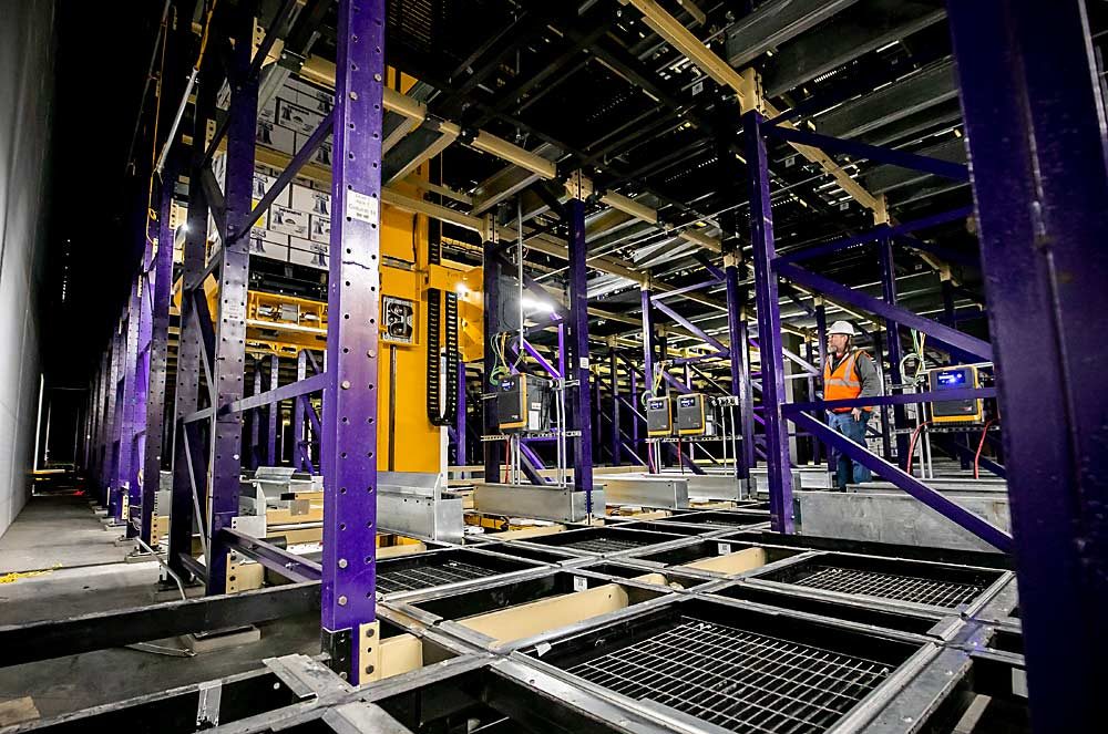 Peter Hosterman, shipping manager, inspects the movement of a pallet of pears through the automatic storage and retrieval system that almost eliminates indoor forklifts. (TJ Mullinax/Good Fruit Grower)