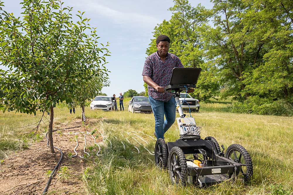 Michigan State University research assistant John Salako scans a tart cherry tree root system with MALA ground-penetrating radar technology at MSU’s Clarksville Research Center in June. (TJ Mullinax/Good Fruit Grower)