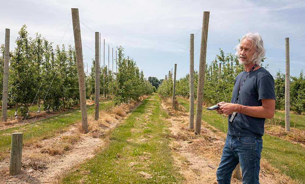 Einhorn looks over a trial block planted in 2018 at MSU’s Clarksville Research Center. The Ellepot trees in the block grew faster than the bareroot trees in the first year after planting, he said. (TJ Mullinax/Good Fruit Grower)