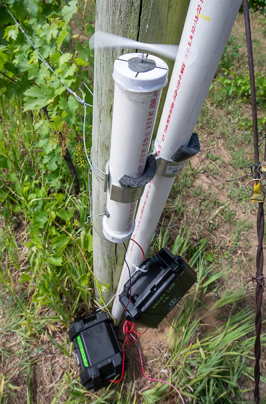 Each spore trap has spinning rods at the top. The grease-covered rods collect pathogen spores floating in the air. Different speeds are used to collect different-sized spores. (TJ Mullinax/Good Fruit Grower)