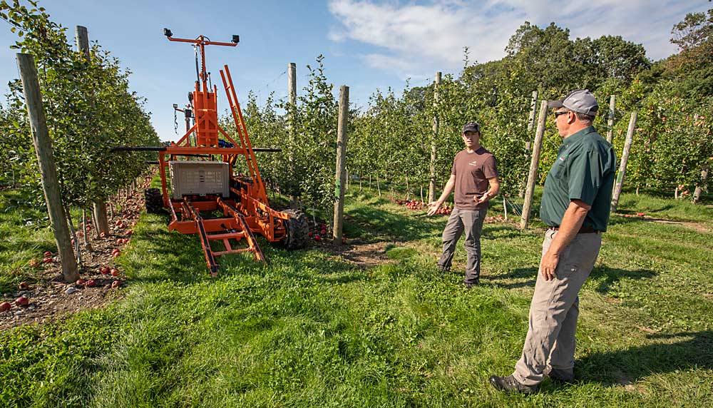 Blake Slaybaugh, left, and his father, David, discuss harvest of their high-density planting of Royal Red Honeycrisp in September. David said their Bin Bandit mobile platforms have cut labor costs by about 30 percent. (TJ Mullinax/Good Fruit Grower)