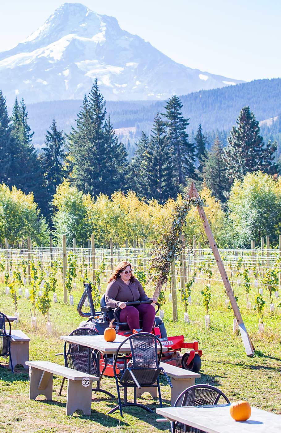Trina McAlexander bought her parents’ 50-acre orchard in Parkdale, Oregon, in 2015, taking on loans that she said she could not have afforded without her job as a nurse practitioner. (TJ Mullinax/Good Fruit Grower)