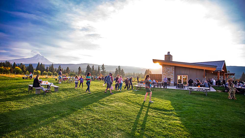 Mt. View Orchards in Parkdale, Oregon, has grown from a 50-acre orchard and fruit stand into a multibusiness operation encompassing a wedding venue, vineyard, brewery and pizzeria — all serving as a popular outdoor destination during the pandemic. (TJ Mullinax/Good Fruit Grower)