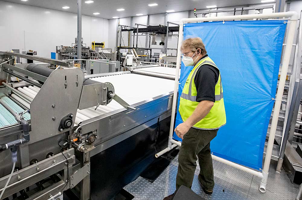 Ron Franklin, food safety manager at Mount Adams Fruit, sets up a barrier constructed from PVC pipe and blue tarp, light enough to be moved with one hand and easy to disinfect. (TJ Mullinax/Good Fruit Grower)