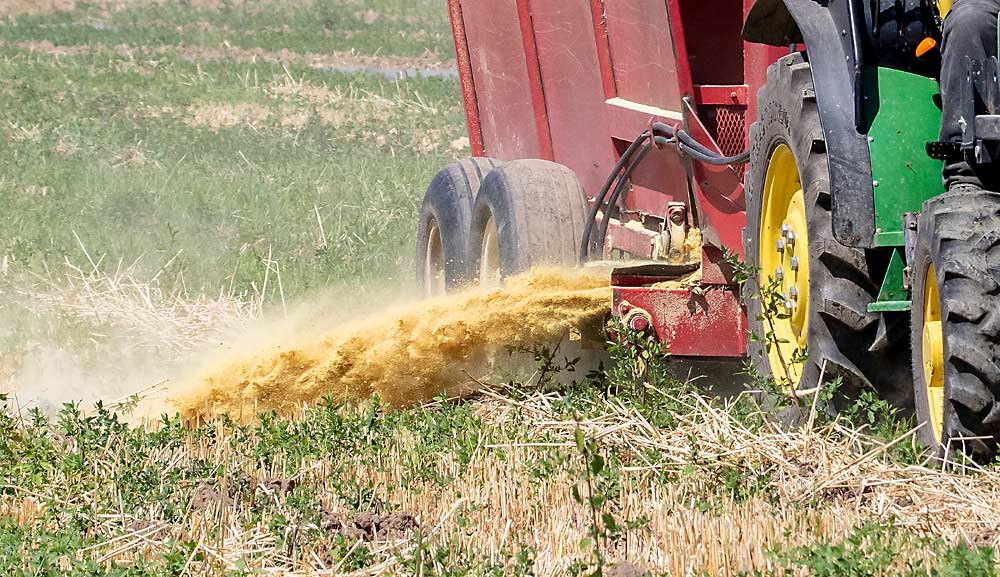 Once applied, mustard seed meal is tilled into the soil and then covered with a plastic film to trap the volatile compounds it produces, suppressing soilborne pathogens and encouraging recruitment of beneficial microorganisms. (TJ Mullinax/Good Fruit Grower)