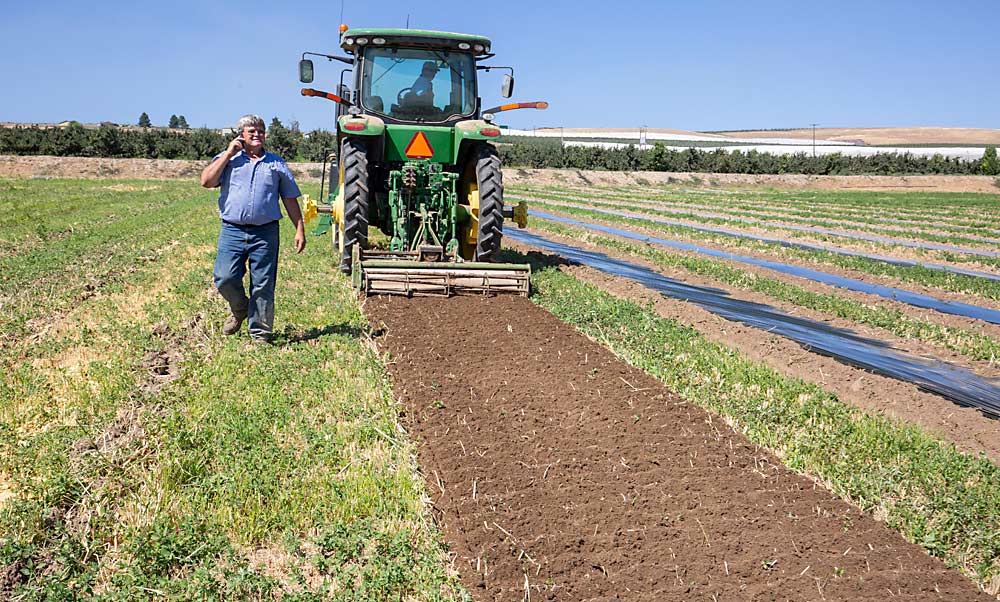 Mike Robinson, an outspoken advocate for more soil health research, walks past a tractor tilling in mustard seed meal in 2017 as part of a Washington State University project led by Tianna DuPont to search for organic control of soil nematodes. This orchard near Othello is owned by his partner, Jim Baird. (TJ Mullinax/Good Fruit Grower)