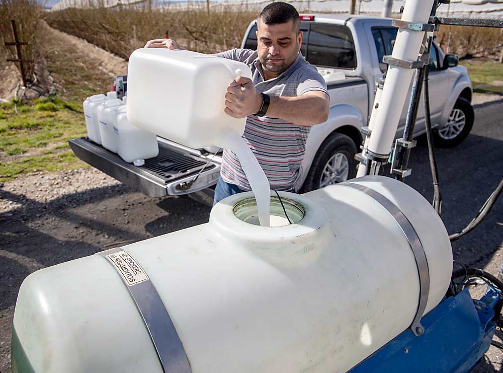 Jassim Alhamid of Washington State University fills an electrostatic spray tank with the cellulose dispersion. (Ross Courtney/Good Fruit Grower)