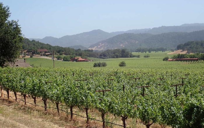 California’s Napa Valley, one of the world’s premier viticultural regions famed for its prized Cabernet Sauvignon, is home to more than 400 wineries. (Leslie Mertz/for Good Fruit Grower)