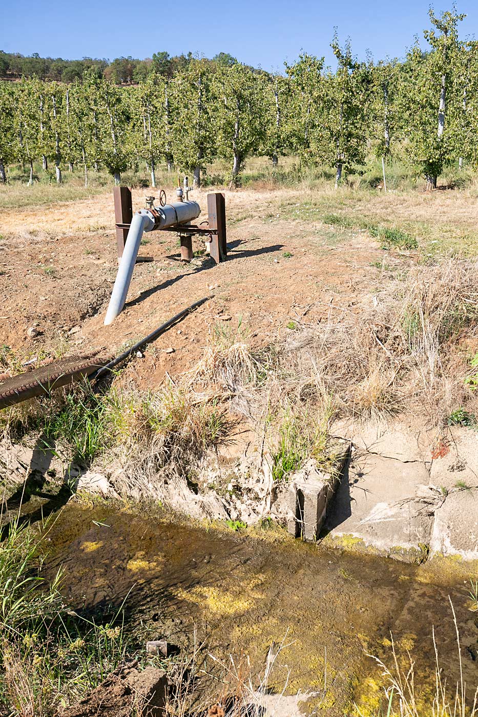 The canals were dry in the midst of harvest in Medford, Oregon, in September, forcing growers to make the most of just a month of irrigation water in 2022. (TJ Mullinax/Good Fruit Grower)