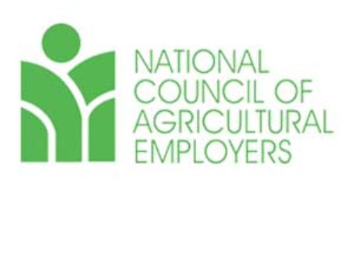 NCAE to host webinar on farmworker tax issues
