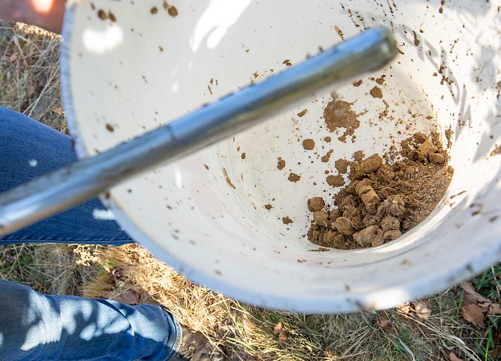 Katherine East, who was a Washington State University graduate student at the time of this photo in 2017, collects soil samples during the early years of nematode study in Washington vineyards. (TJ Mullinax/Good Fruit Grower)