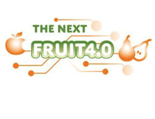 The Next Fruit 4.0 project update offered via webinar Dec. 19