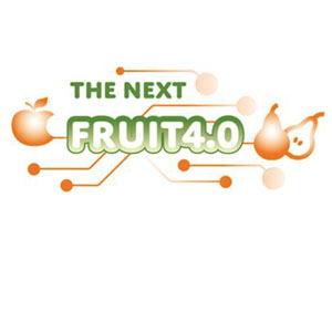 The Next Fruit 4.0 logo